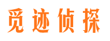 武汉外遇调查取证